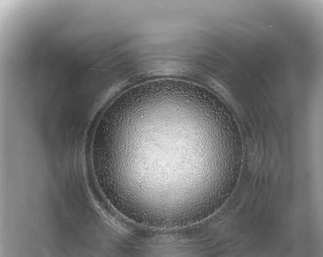 X0000067340482200604071355