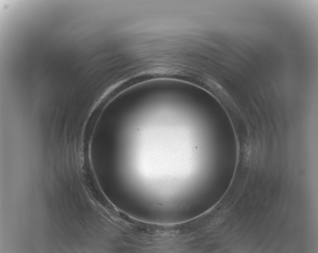 X0000067340484200604071355