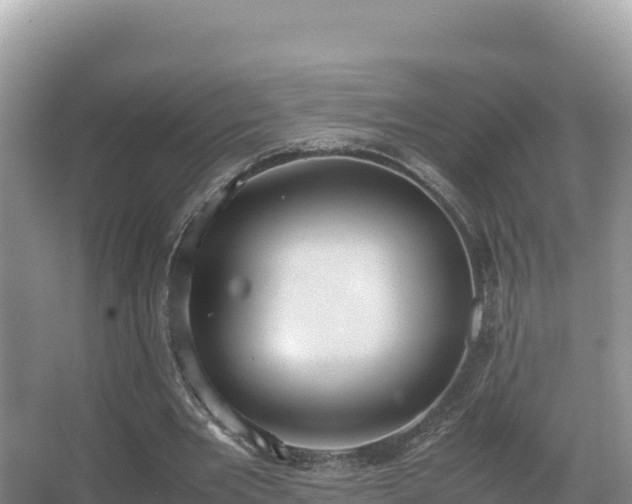 X0000067340485200604071355