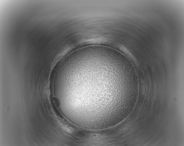 X0000067340486200604071355