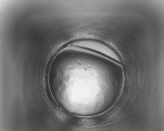 X0000067340487200604071355