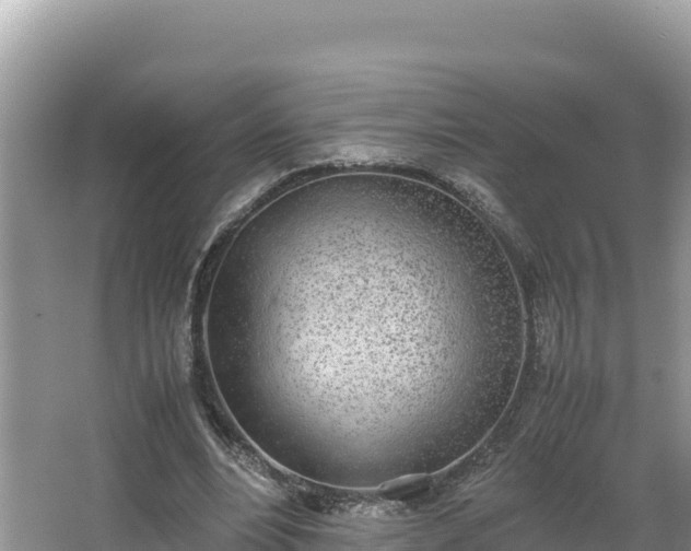 X0000067340488200604071355