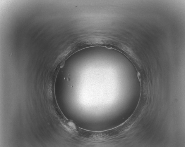 X0000067340489200604071355