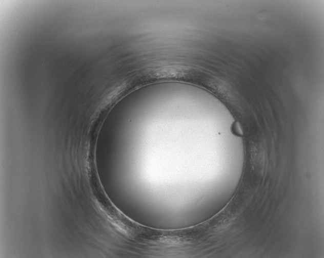 X0000067340490200604071355