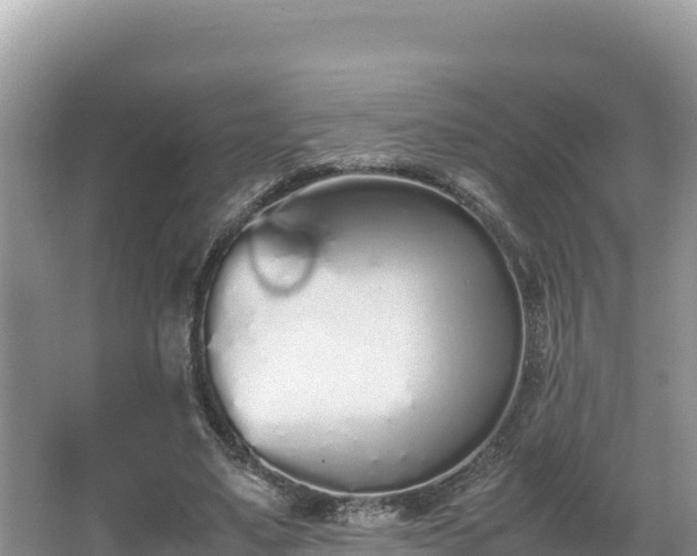 X0000067340491200604071355