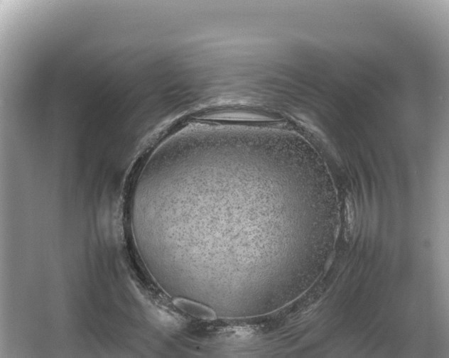 X0000067340492200604071355