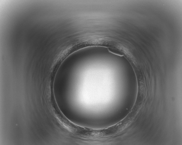 X0000067340493200604071355