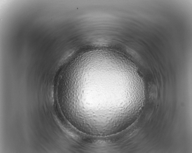 X0000067340494200604071355