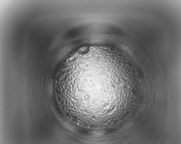 X0000067340495200604071355