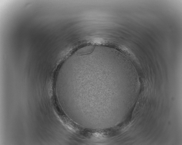 X0000067340496200604071355