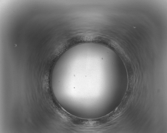 X0000067340497200604071355