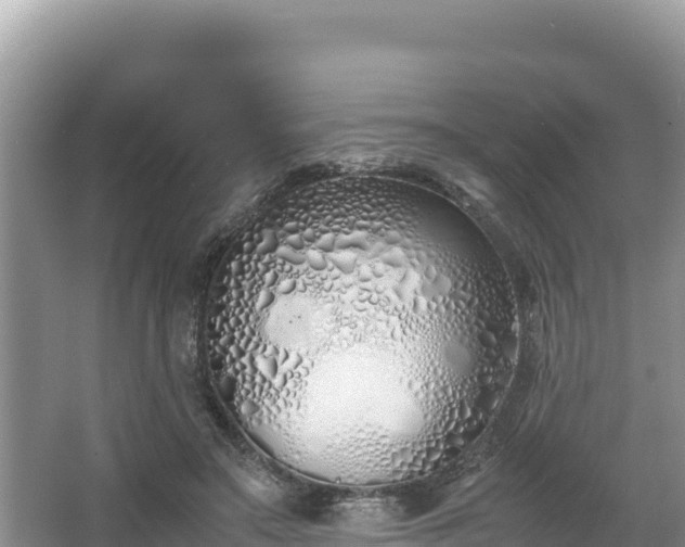 X0000067340499200604071355