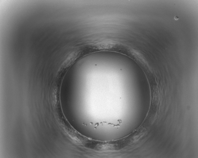 X0000067340501200604071355