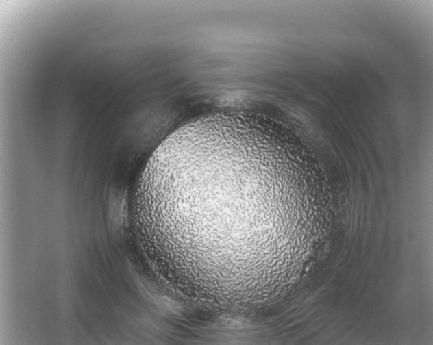 X0000067340502200604071355