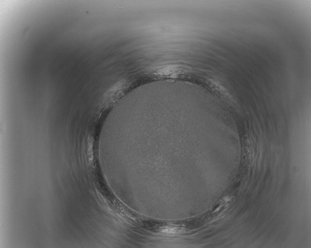 X0000067340504200604071355