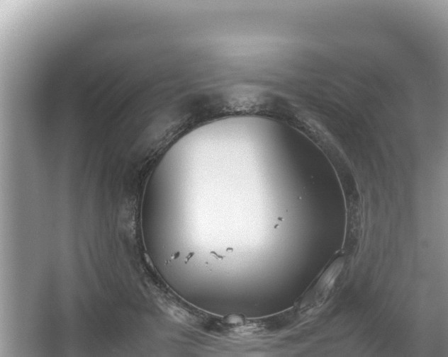 X0000067340505200604071355