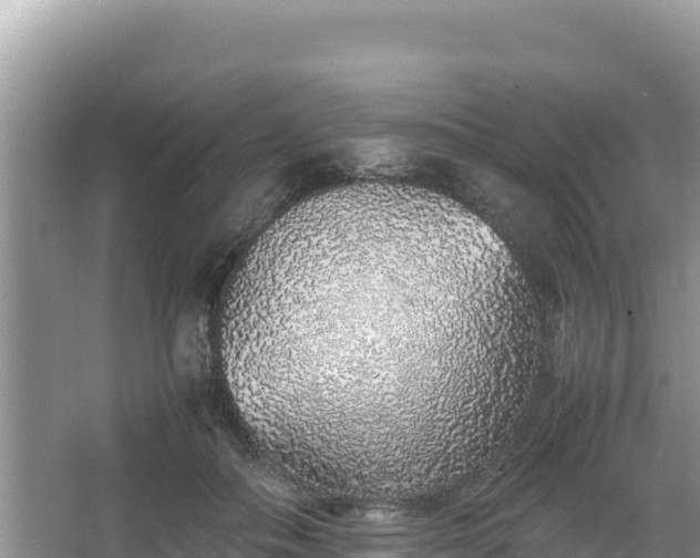 X0000067340506200604071355