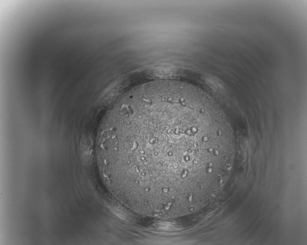 X0000067340507200604071355