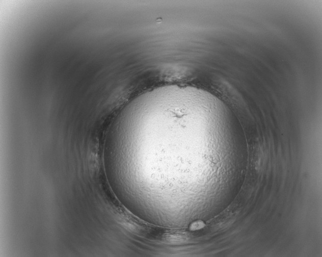 X0000067340510200604071355