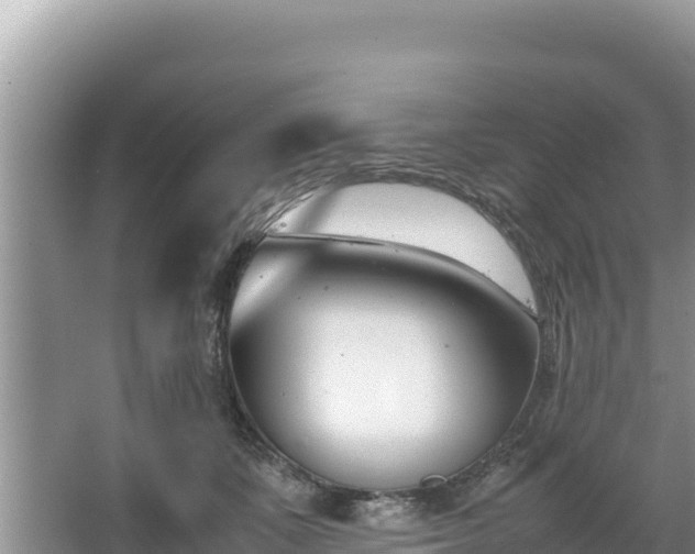 X0000067340511200604071354