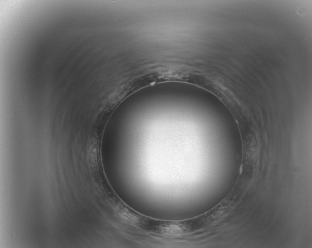 X0000067340513200604071354