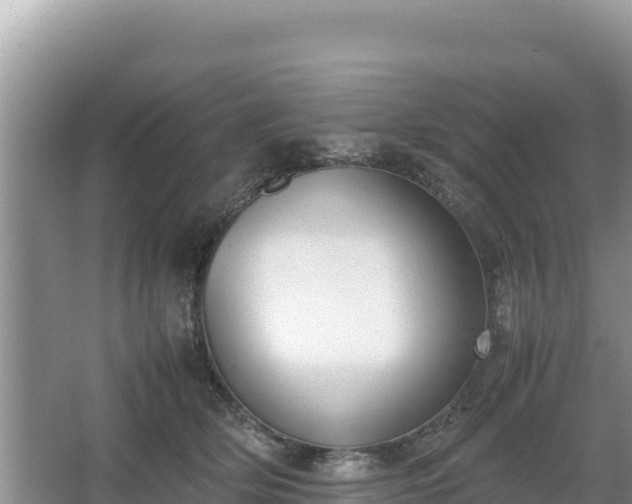 X0000067340514200604071354