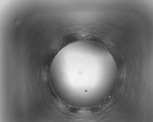 X0000067340515200604071354