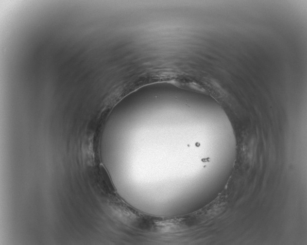 X0000067340516200604071354