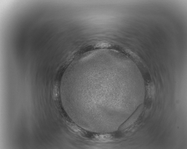 X0000067340517200604071354