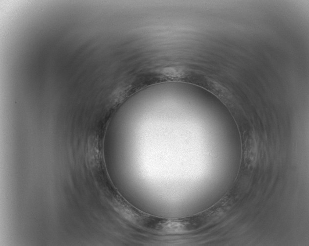 X0000067340518200604071354