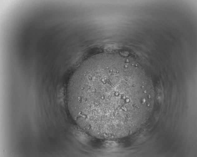 X0000067340519200604071354