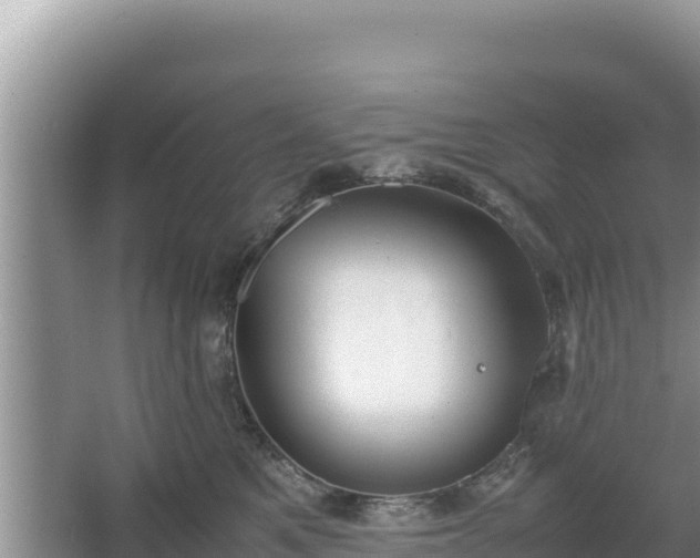 X0000067340521200604071354