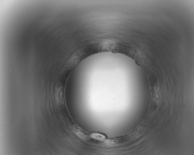 X0000067340522200604071354