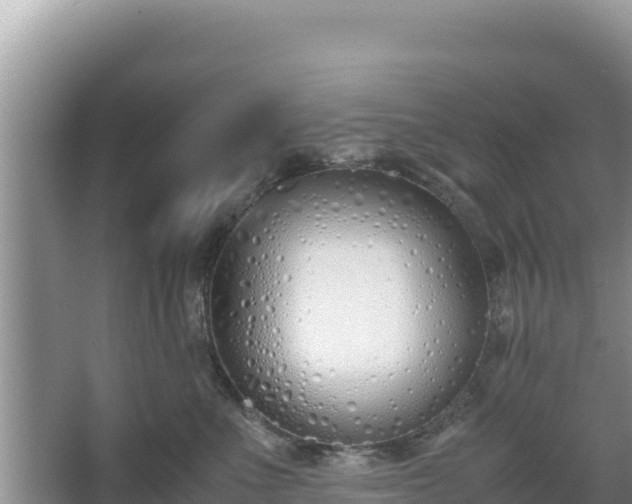 X0000067340523200604071354