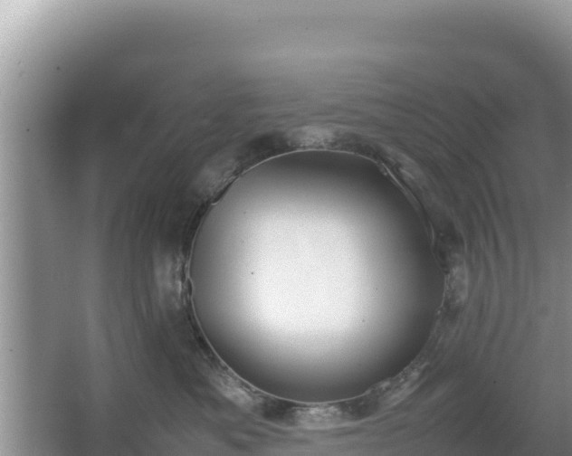 X0000067340525200604071354