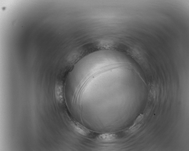 X0000067340526200604071354