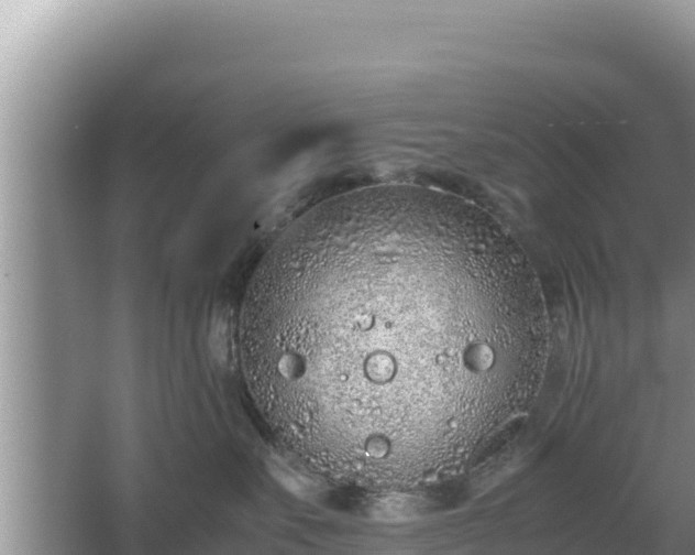 X0000067340527200604071354