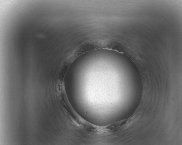 X0000067340528200604071354