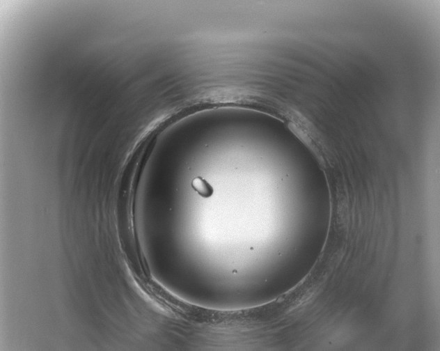 X0000067340530200604071353