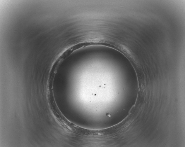 X0000067340532200604071353