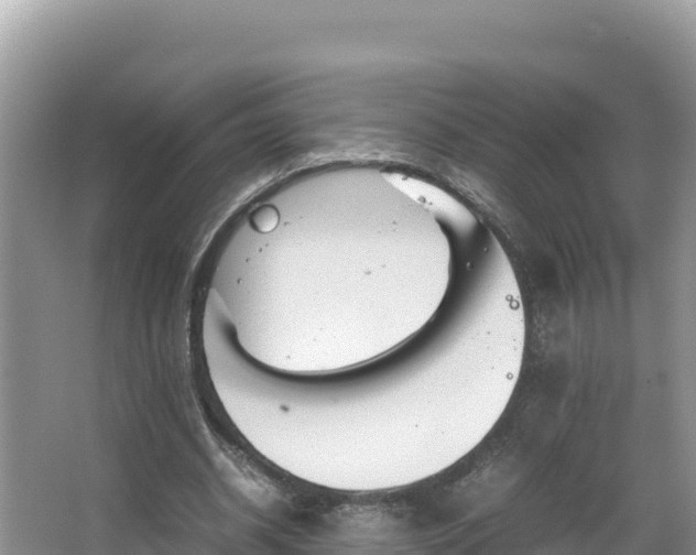 X0000067340534200604071353