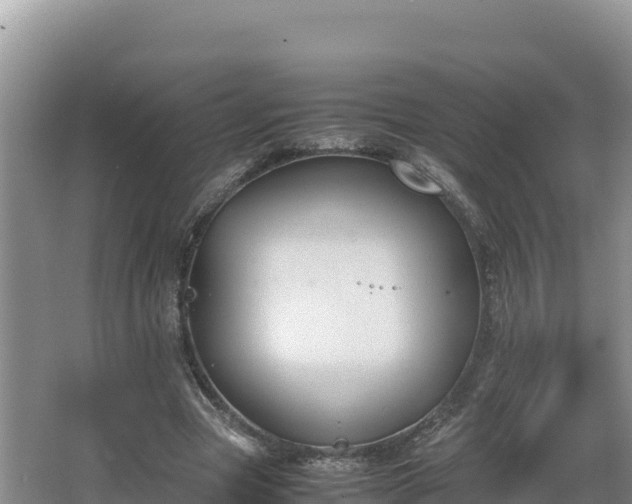 X0000067340537200604071354