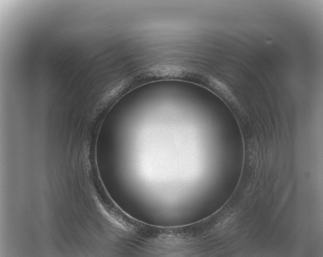 X0000067340538200604071354