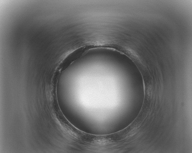 X0000067340540200604071354