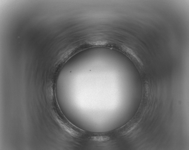 X0000067340541200604071354