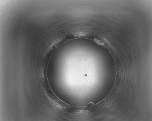 X0000067340543200604071354