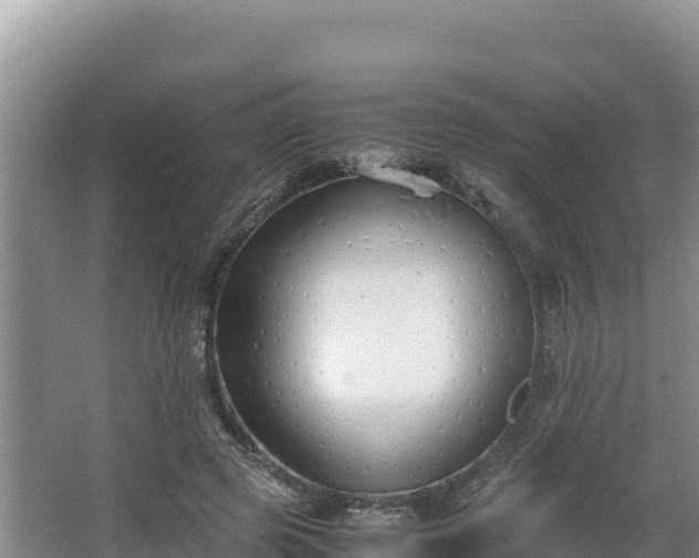 X0000067340545200604071354