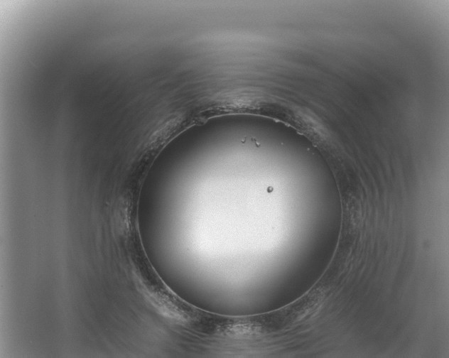 X0000067340546200604071354