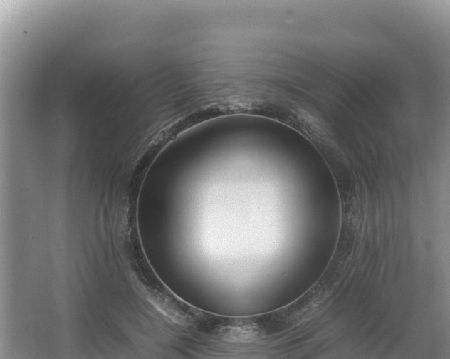 X0000067340548200604071354