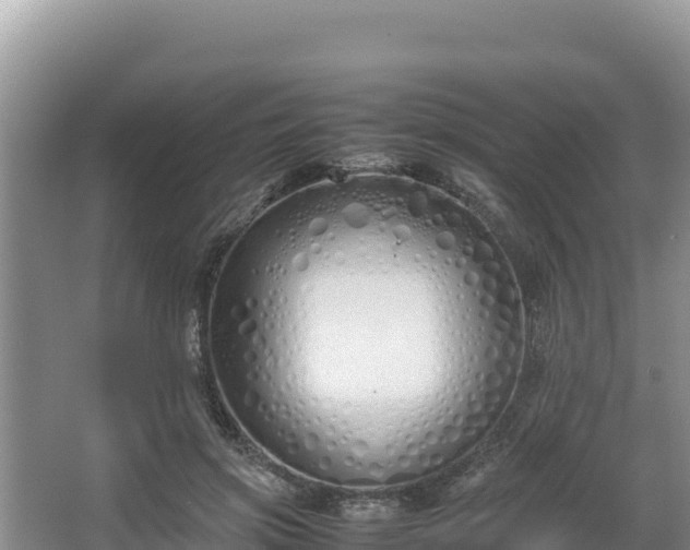 X0000067340549200604071354